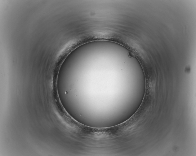 X0000093760686200710231253