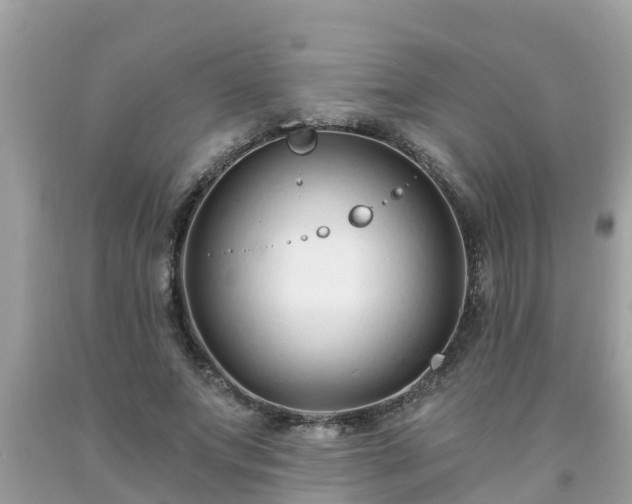X0000093760687200710231253