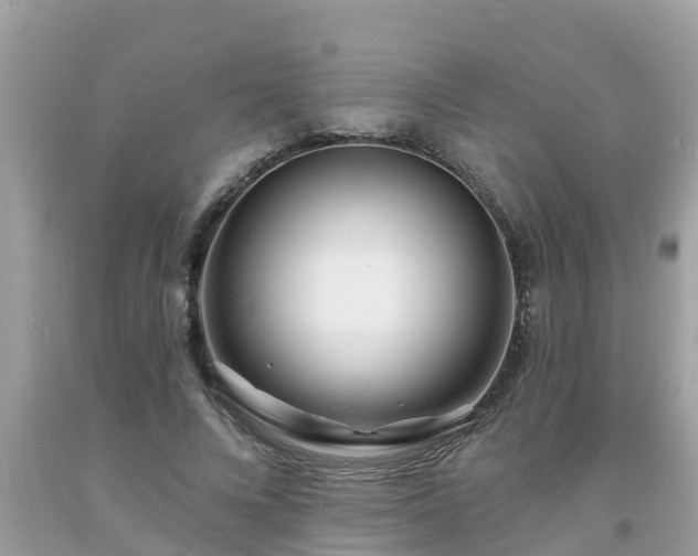 X0000093760688200710231253