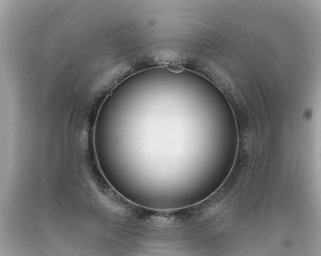 X0000093760690200710231253