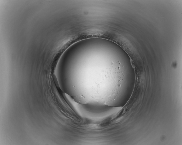 X0000093760692200710231253