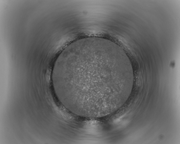 X0000093760695200710231253