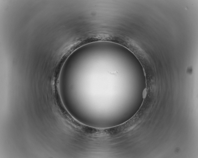 X0000093760696200710231253
