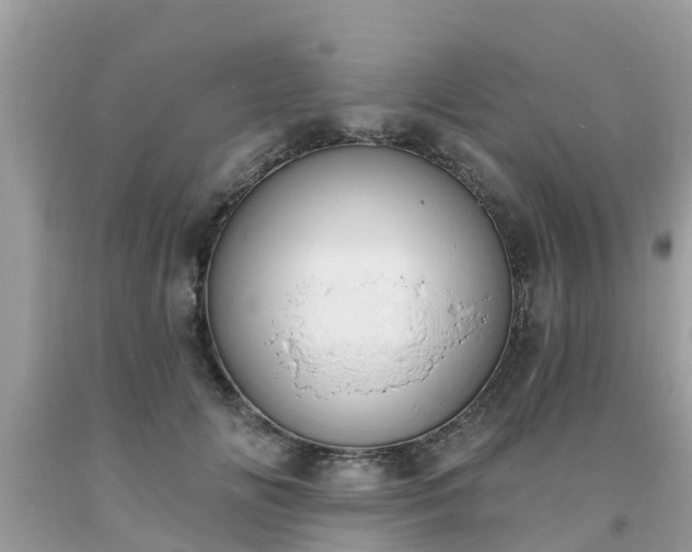 X0000093760702200710231252