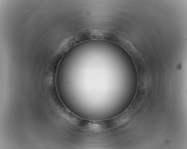 X0000093760706200710231252