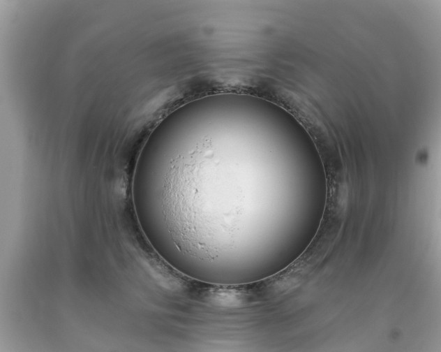 X0000093760710200710231252