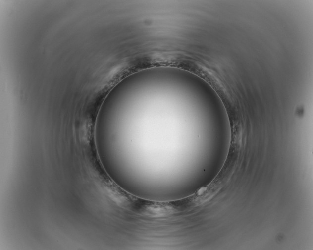 X0000093760712200710231252