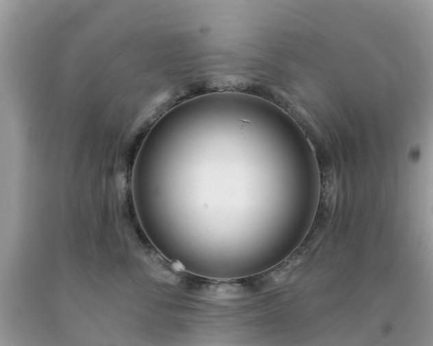 X0000093760716200710231252