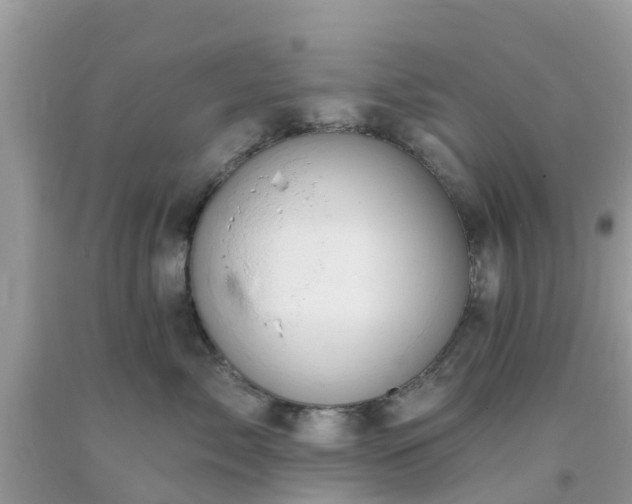 X0000093760717200710231252