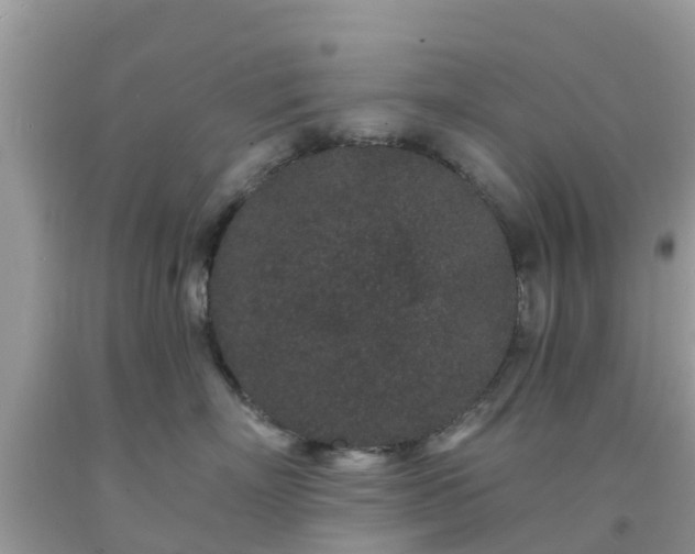 X0000093760718200710231252