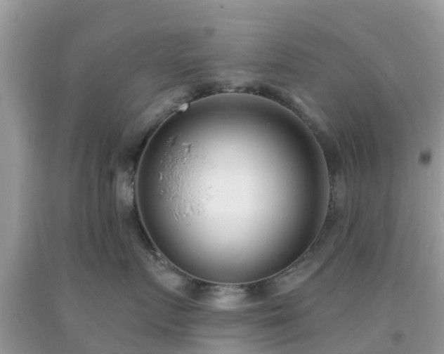 X0000093760719200710231252