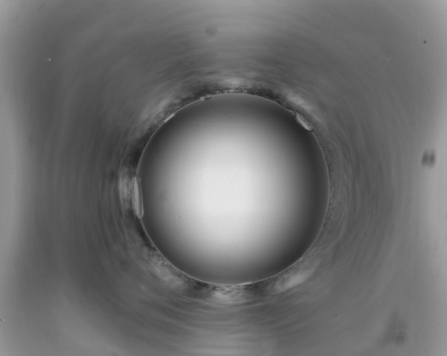X0000093760720200710231252