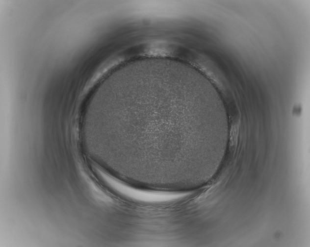 X0000093760722200710231251