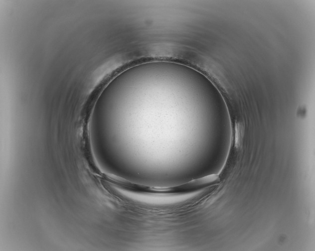 X0000093760723200710231251