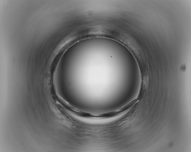 X0000093760724200710231251