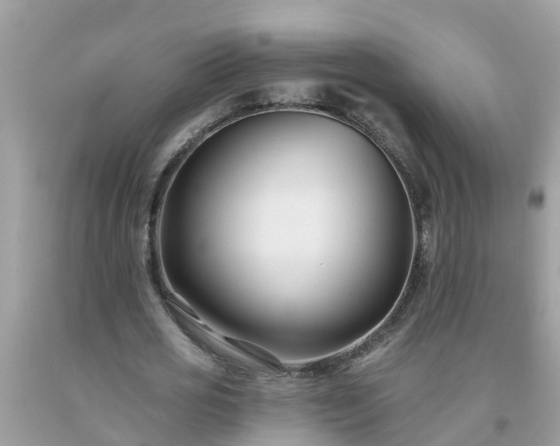 X0000093760725200710231251