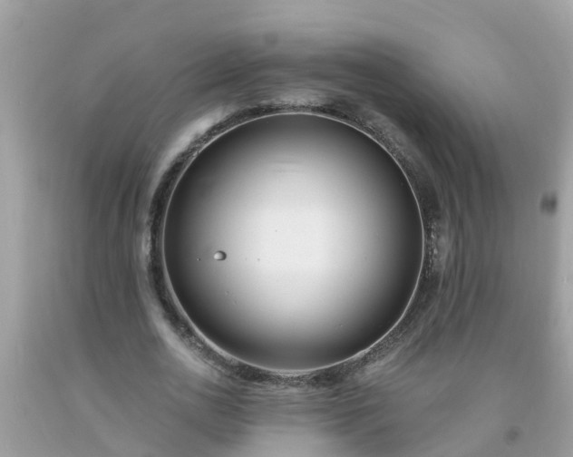 X0000093760726200710231251