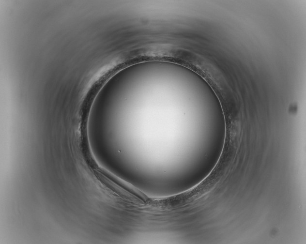 X0000093760727200710231252