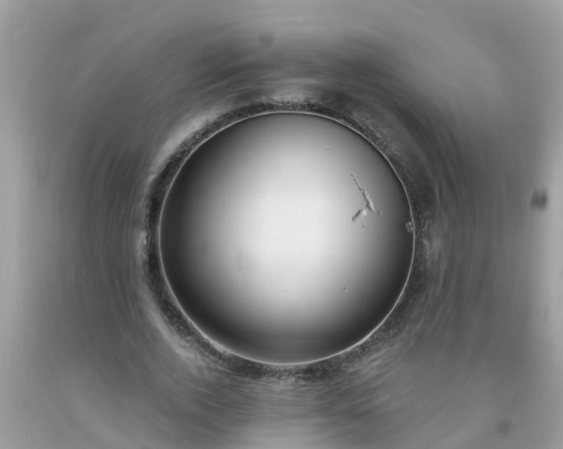 X0000093760728200710231252
