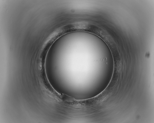 X0000093760731200710231252