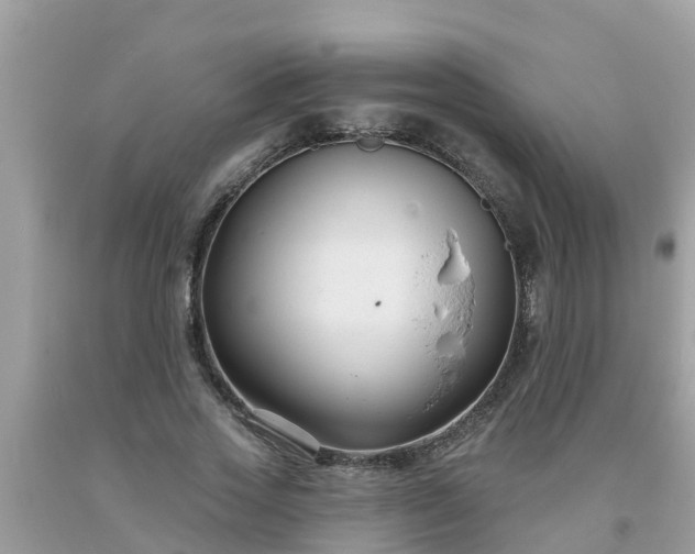 X0000093760733200710231252