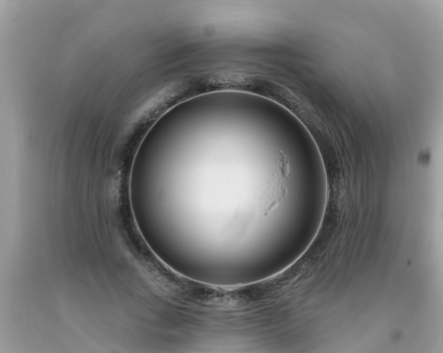 X0000093760735200710231252