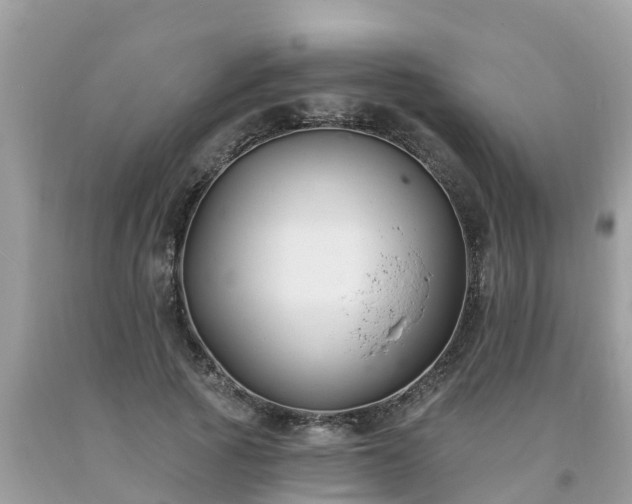 X0000093760737200710231252