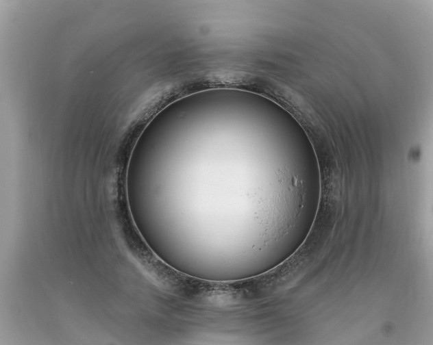 X0000093760738200710231252