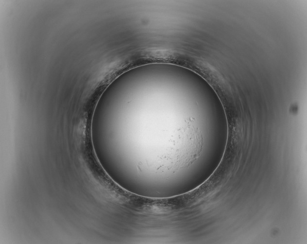 X0000093760739200710231252