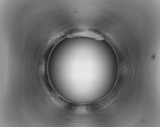 X0000093760740200710231252