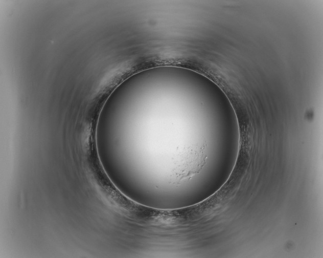 X0000093760742200710231252