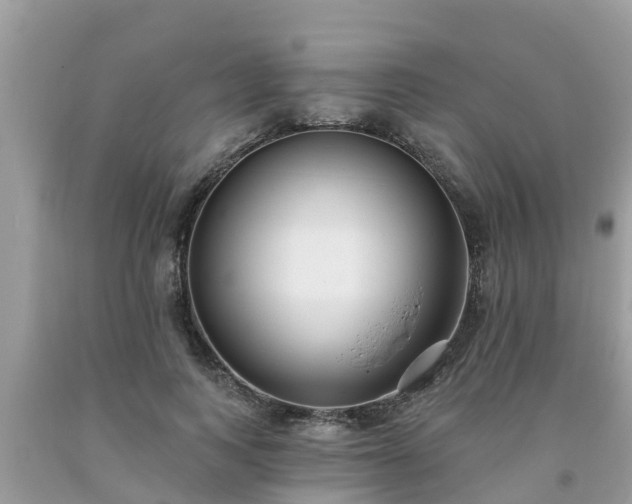 X0000093760743200710231252