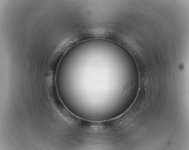 X0000093760744200710231252