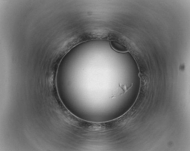 X0000093760745200710231252