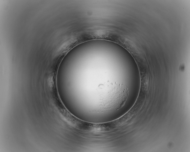 X0000093760746200710231252