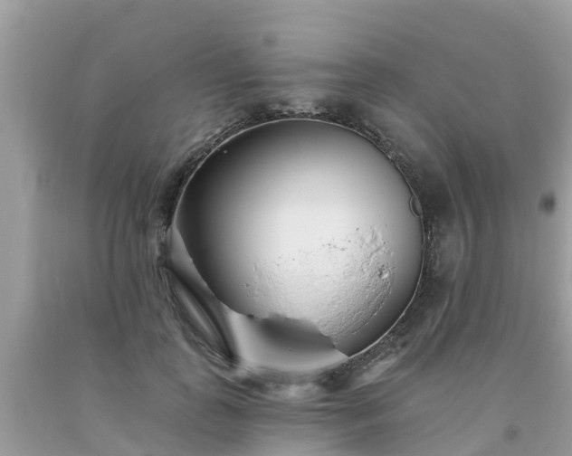 X0000093760747200710231252