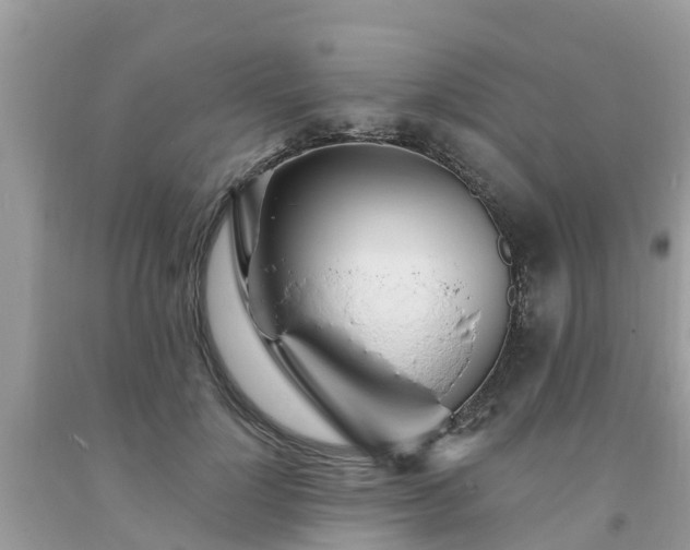 X0000093760748200710231252