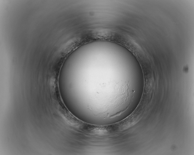 X0000093760749200710231252