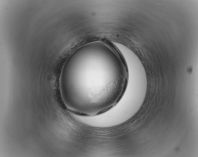 X0000093760750200710231252