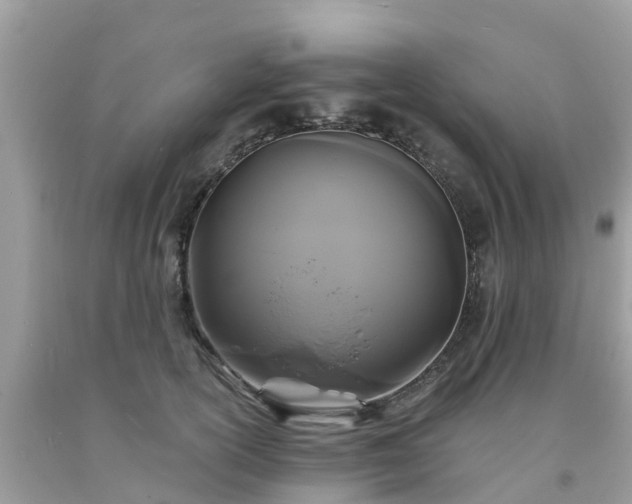 X0000093760754200710231252