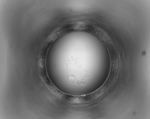 X0000093760755200710231252
