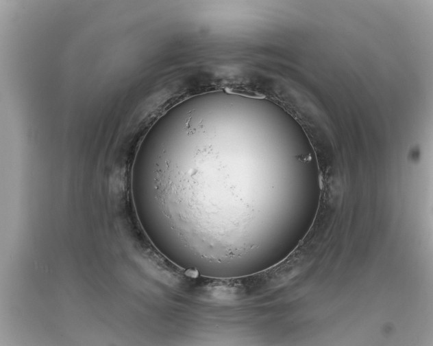X0000093760756200710231252