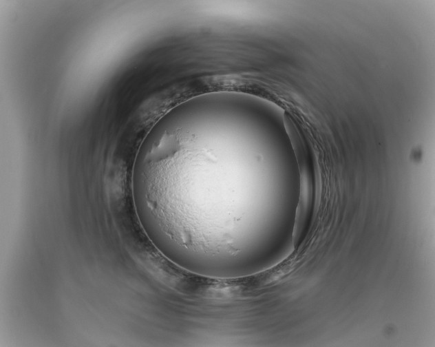 X0000093760760200710231252