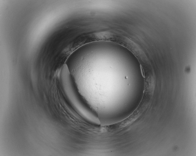 X0000093760762200710231252
