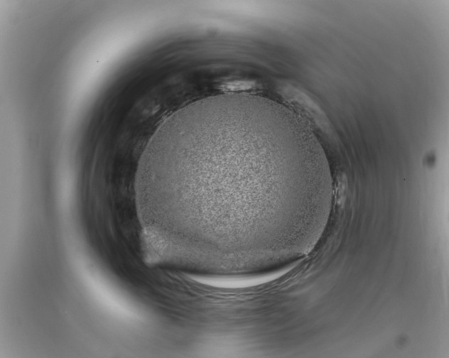 X0000093760763200710231252