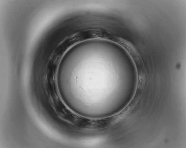 X0000093760765200710231252