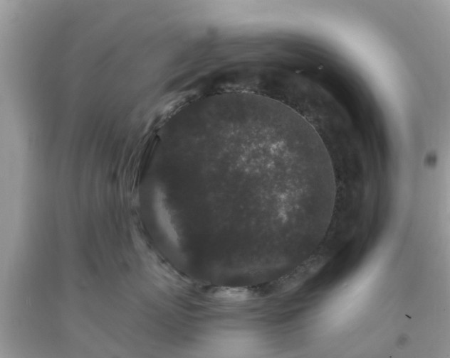 X0000093760767200710231252