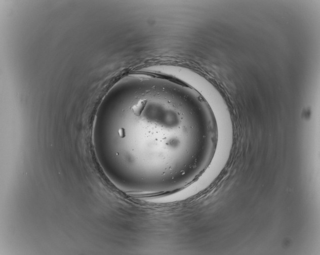 X0000093760769200710231251