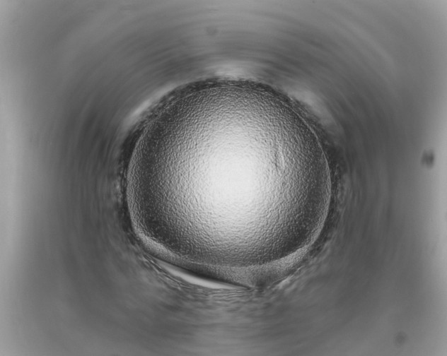 X0000093760776200710231251