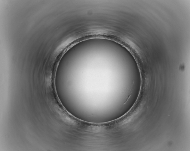 X0000093760778200710231251
